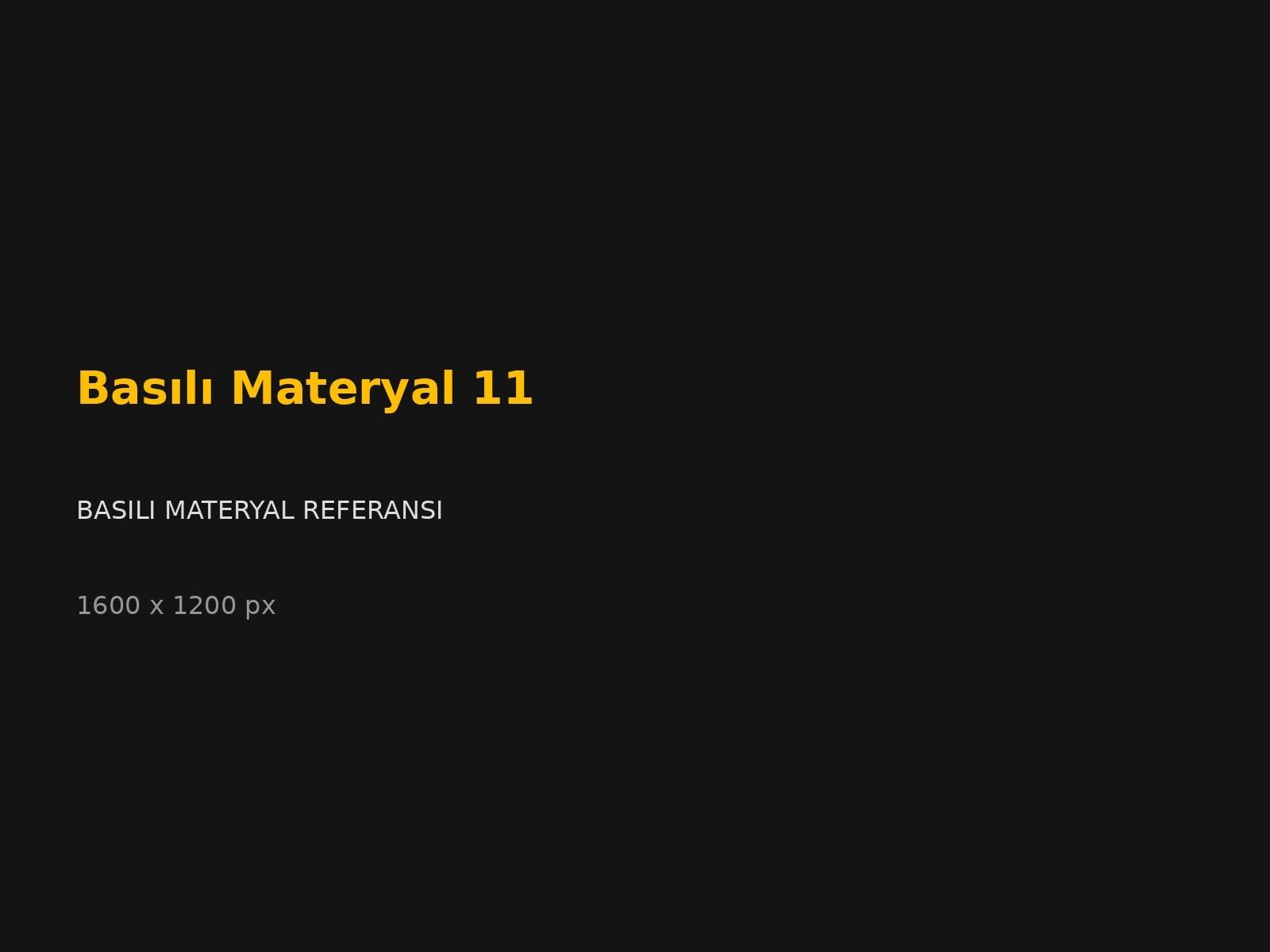 Basılı Materyal 11